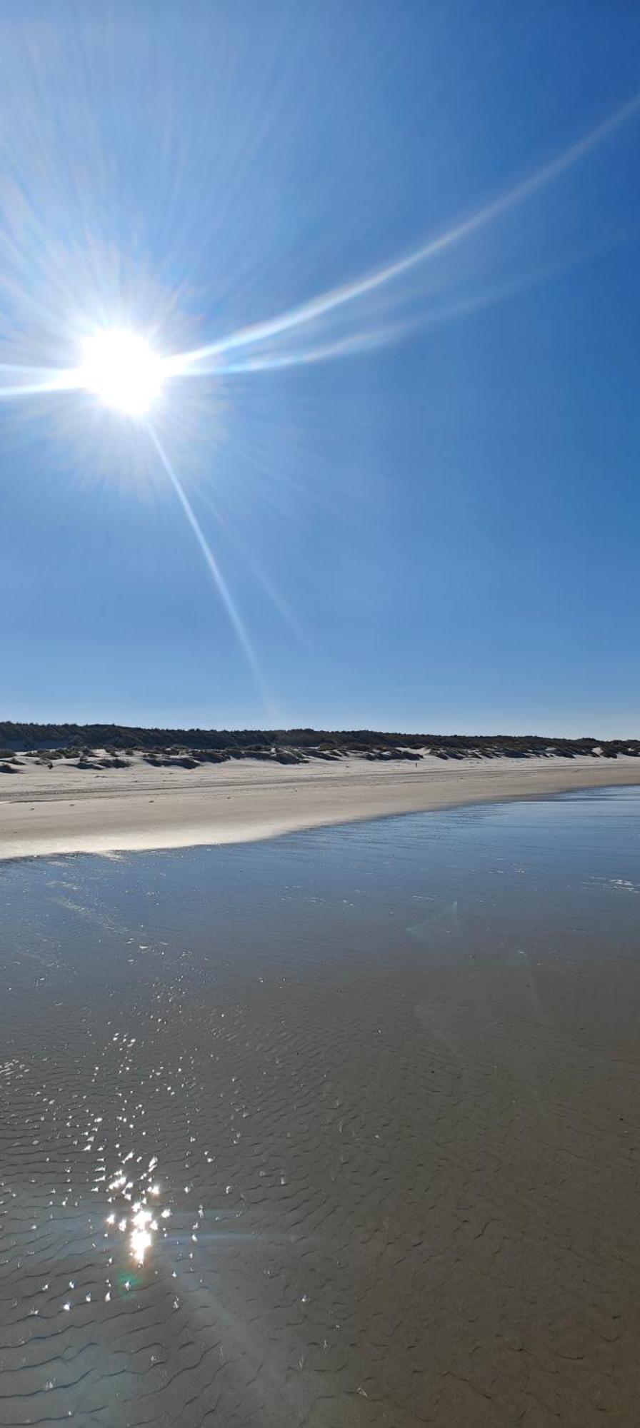 Pension Bakema Ameland 네스 외부 사진